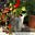 Linda’s Morning Media Review's avatar