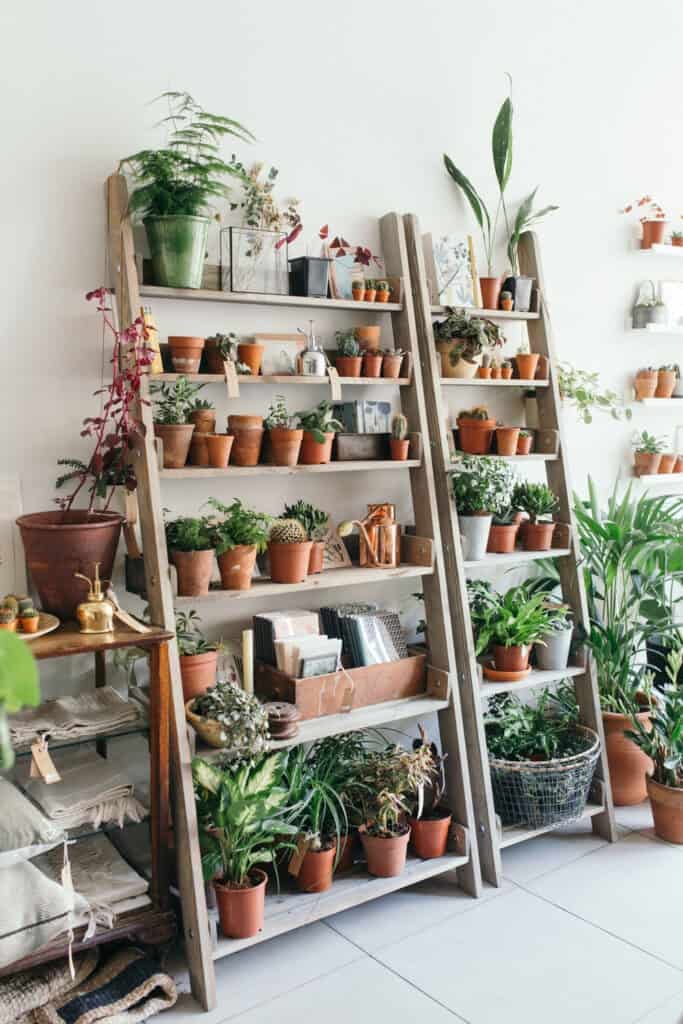 vertical gardens