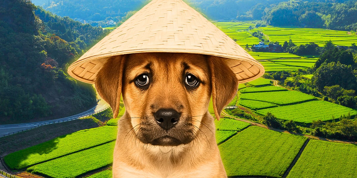 Why do (some) Asians eat dogs? - Ken LaCorte