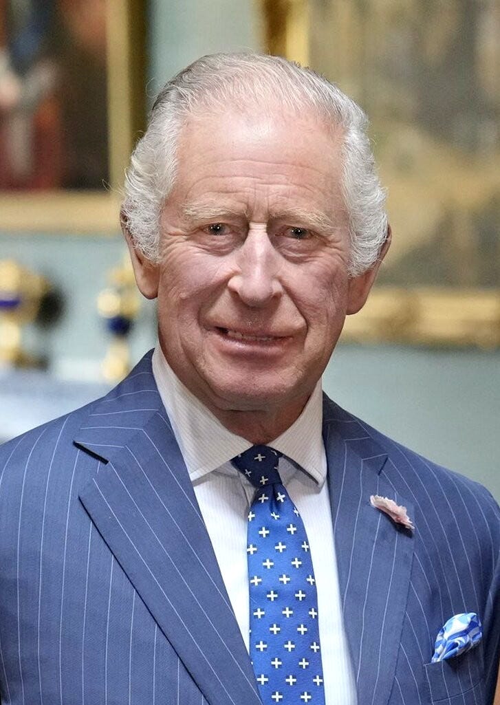 Charles III, King of UK, taken from https://en.wikipedia.org/wiki/Charles_III#/media/File:King_Charles_III_(July_2023).jpg