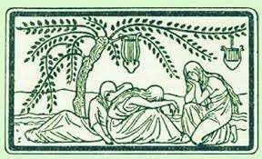 ABOUT | Harps On Willows ABOUT | Harps On Willows