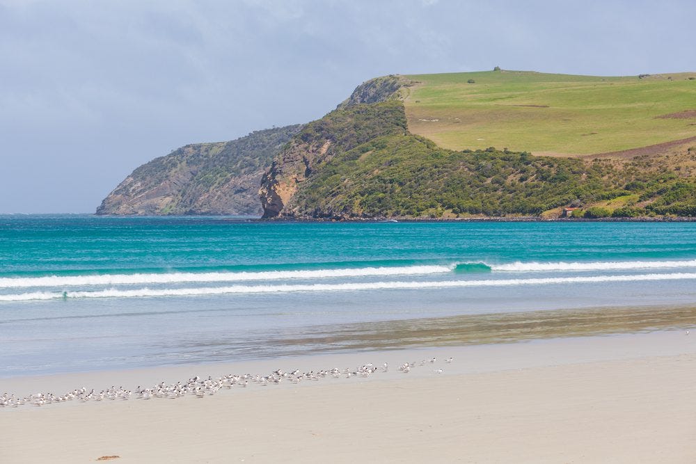 Your Guide to Cape Bridgewater