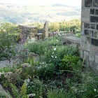 Shade loving flowers for pollinators