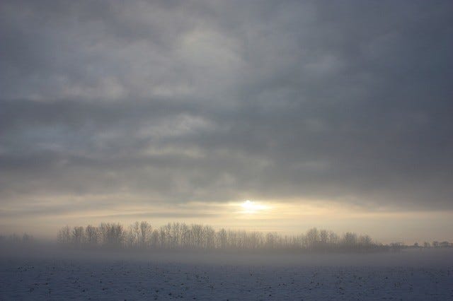 nieve650_1200 nieve650_1200