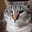 Tiggers Mom's avatar