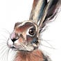 Steven Haase's avatar