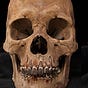 TJ - Travis Johnson DDS's avatar