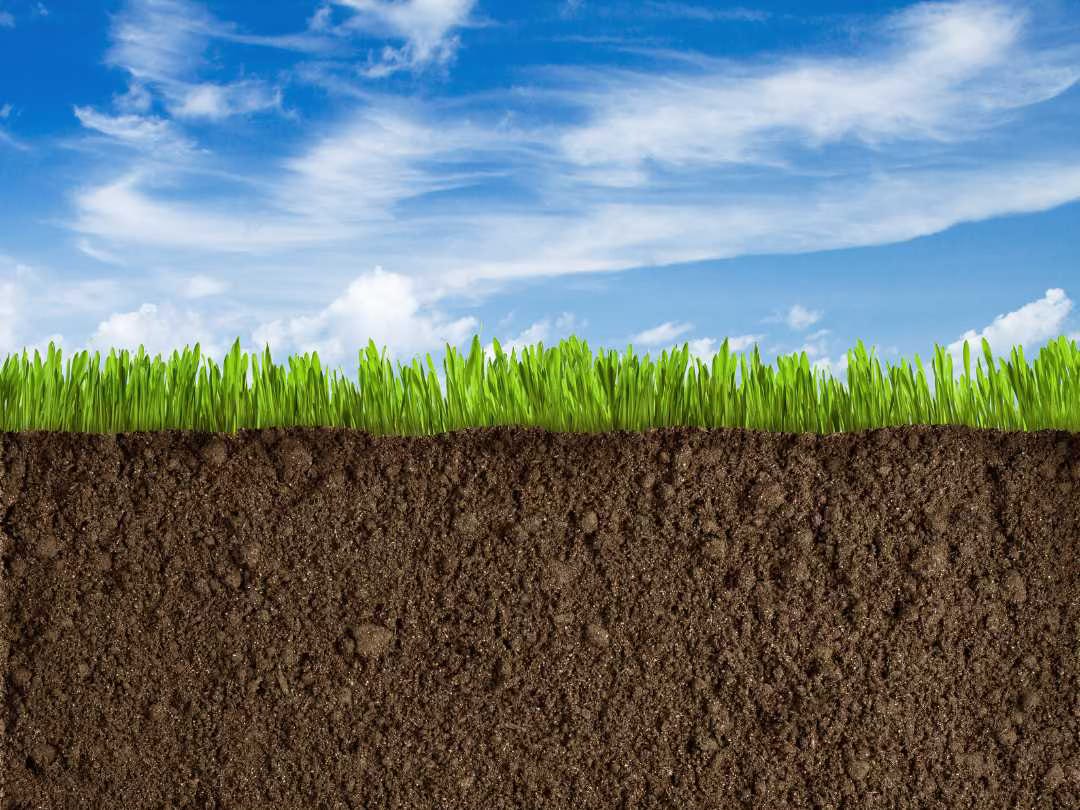 A photo of earth and sky. Blue sky above, deep soil below, and growing grass in the middle. A photo of earth and sky. Blue sky above, deep soil below, and growing grass in the middle.