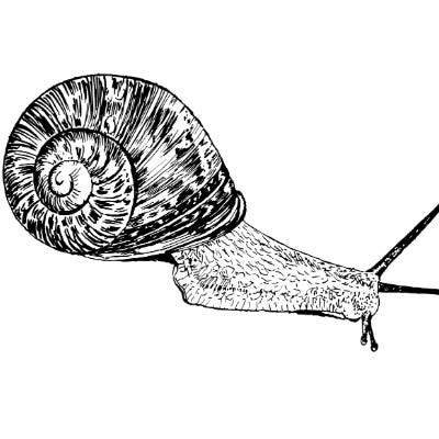 Slow Writing logo