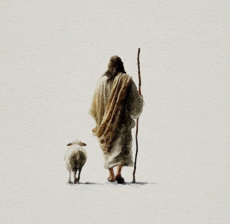 This may contain: an old man walking in the snow with two sheep This may contain: an old man walking in the snow with two sheep