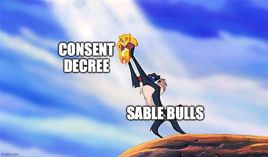 Lion King Rafiki Simba | CONSENT DECREE; SABLE BULLS | image tagged in lion king rafiki simba | made w/ Imgflip meme maker