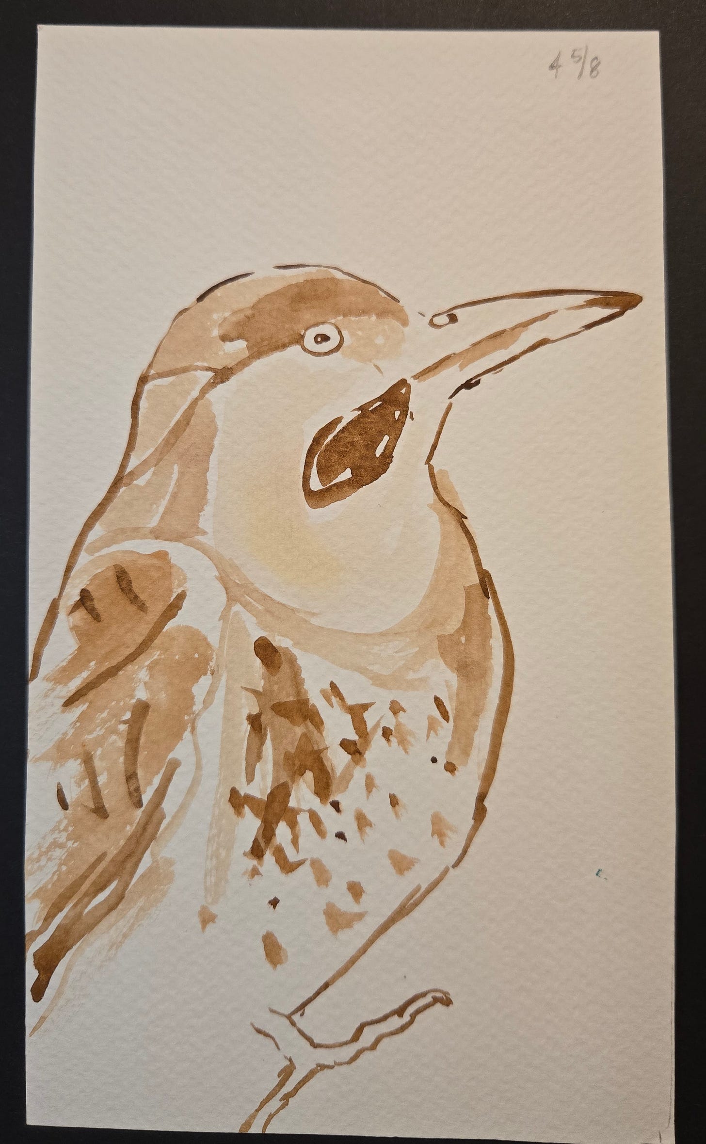 Monochrome brown watercolor sketch of a bird calling with open beak, painted in minimal expressive strokes.