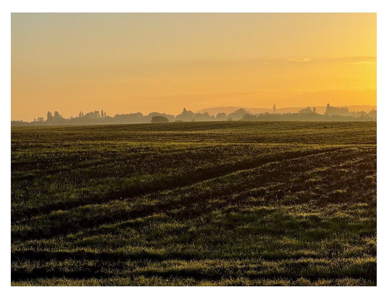 plpoiughed field, autumn light, orange tints