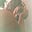 Avatar de exiliarme