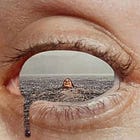 We've been through crises before, what makes the metacrisis so...deadly?