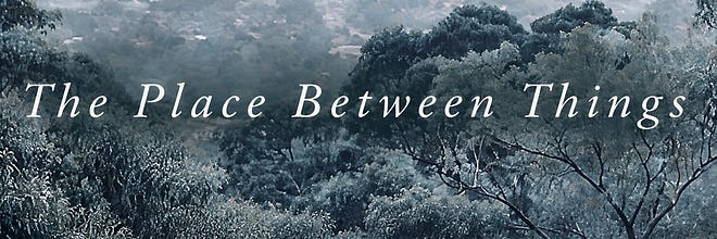 The Place Between Things