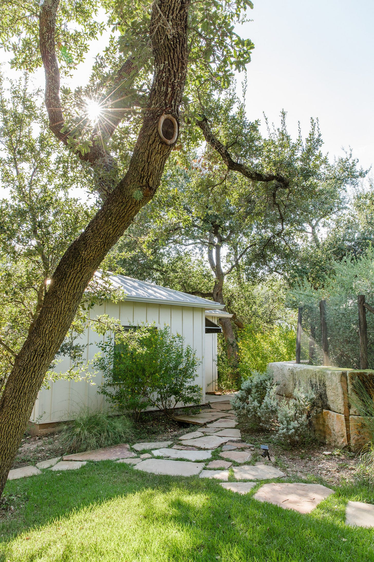 The Wayback, Austin: a live oak and cottage The Wayback, Austin: a live oak and cottage
