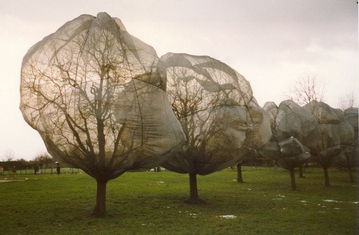 4007674118289b316937fe40ca9f4d31--landscape-design-urban-landscape.jpg