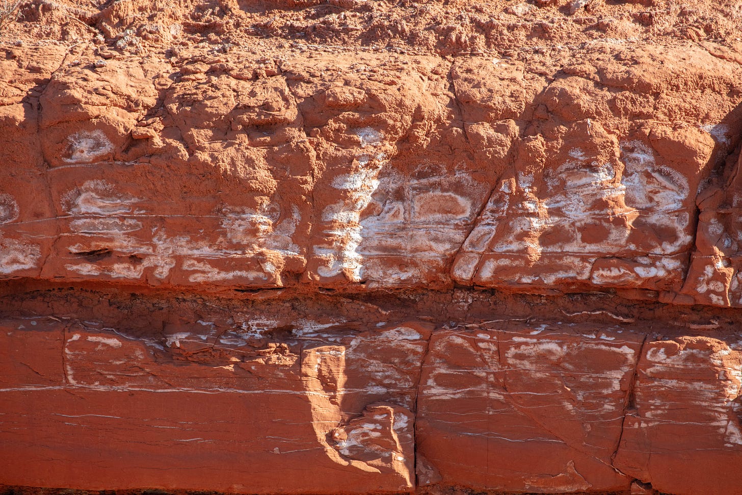 Close-up of a reddish orange wall of stone with thin lines of white running across parts of it