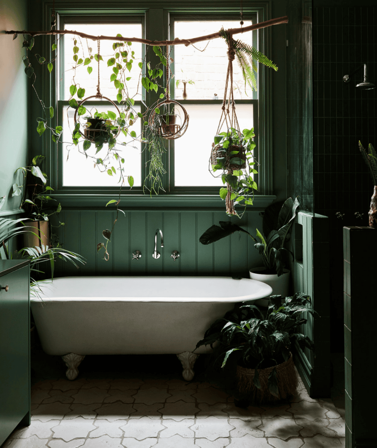hanging plants that do not need sunlight. hanging plants that do not need sunlight.