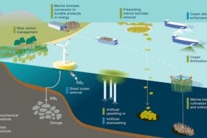 A schematic overview of marine carbon dioxide removal (mCDR) methods included in the newly published Future Science Brief from the European Marine Board.