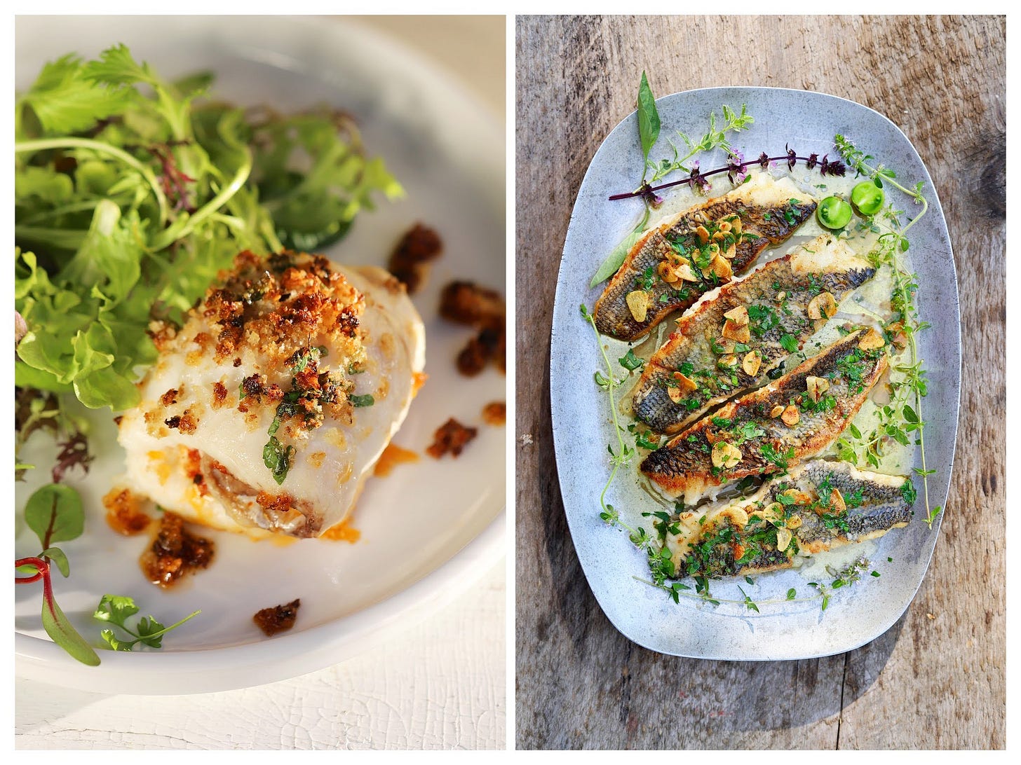 Fish recipes in The Sea Table cookbook and on Cook The Vineyard