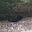 Jordi's avatar