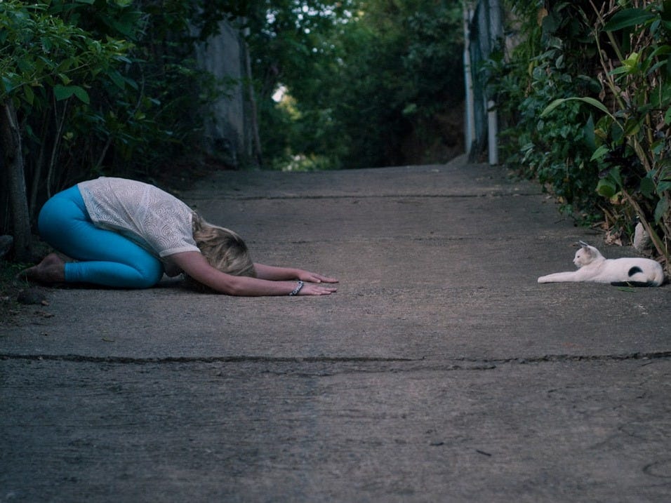 woman kneeling in front of cat lying on ground