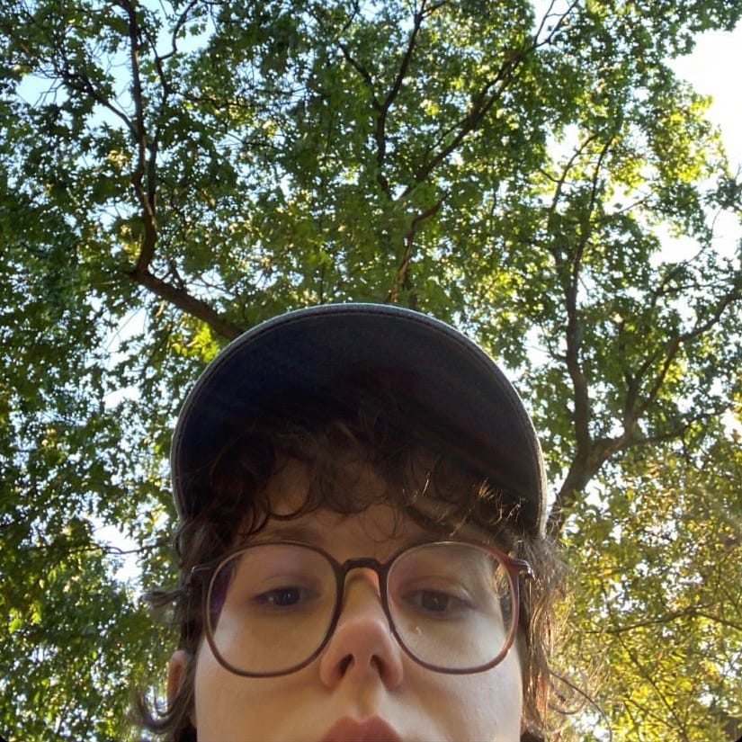 365 turtle poems for 2024