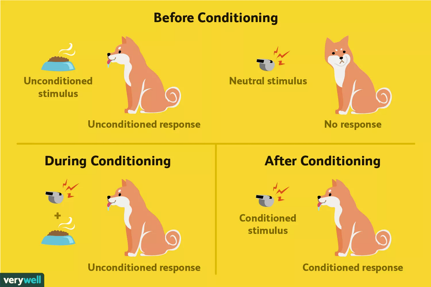 Classical Conditioning