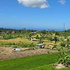 Exclusive: Emerging cricket hot spot Bali set to host key ICC November meetings