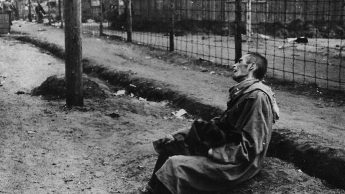 Rampant' cannibalism in German concentration camp, documents reveal