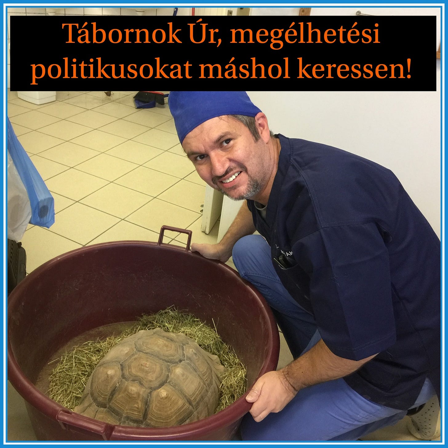 May be an image of 1 person, tortoise, turtle and text that says "Tábornok Úr, megélhetési politikusokat máshol keressen!"