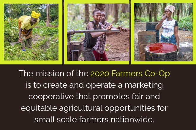 Data, Our Superpower As Our Partnership With 2020 Farmers Co-op Is Helping Farming Communities Own Their Future Through Live Data In Farming Communities in Uganda.
