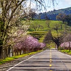 Under the Hood: Rising Property Values, Shrinking Jobs in Napa County