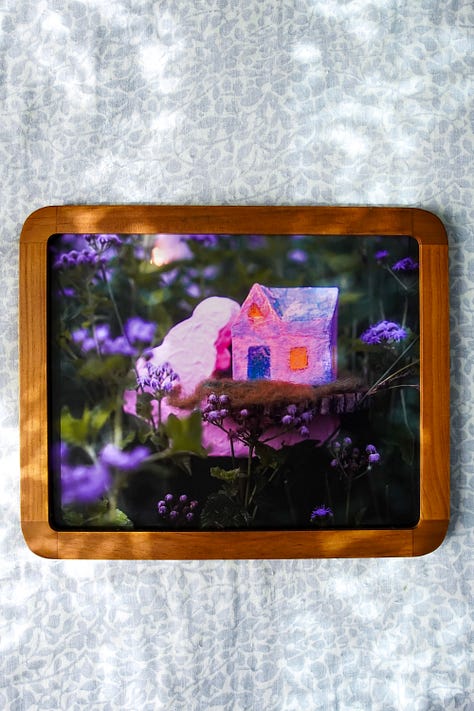 a variety of framed prints taken in the garden