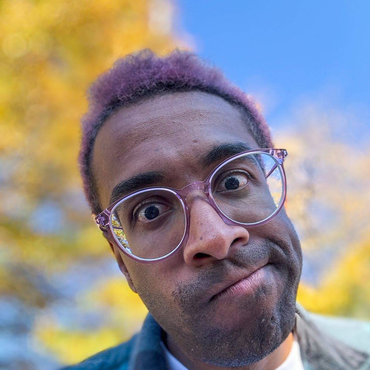 new year’s project