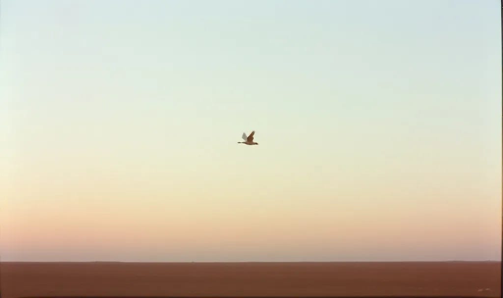 A single bird in flight against an open sky, captured in vintage film style, evoking the quiet freedom that comes from taking responsibility for your own life.
