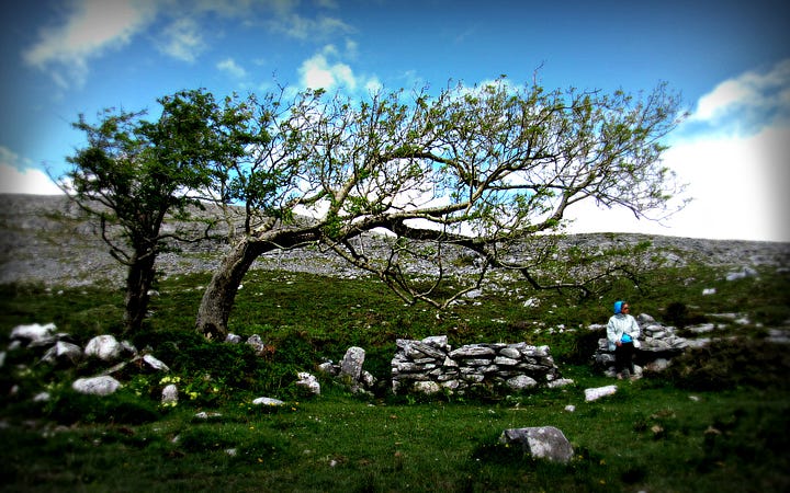 1. Holy well with stone wall and central entrance to access water, tall hedge behind the well. 2. Stone wall surrounding well with steps down to access water, twisted hawthorn tree beside it to left. 3. Paved path leading to well entrance to water underground. 4. Whitewashed entrance to well with steps to left, woman in red top sitting on wall to right looking at a map.
