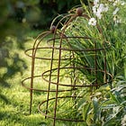 The best plant supports to buy - do it now!