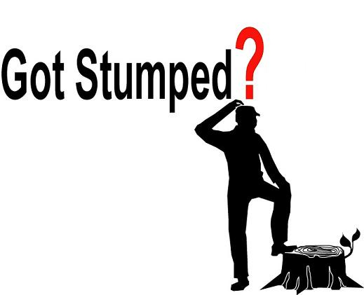Why Does Someone Get “Stumped?” | Studio Brow