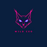 Wild CEO — The Journey