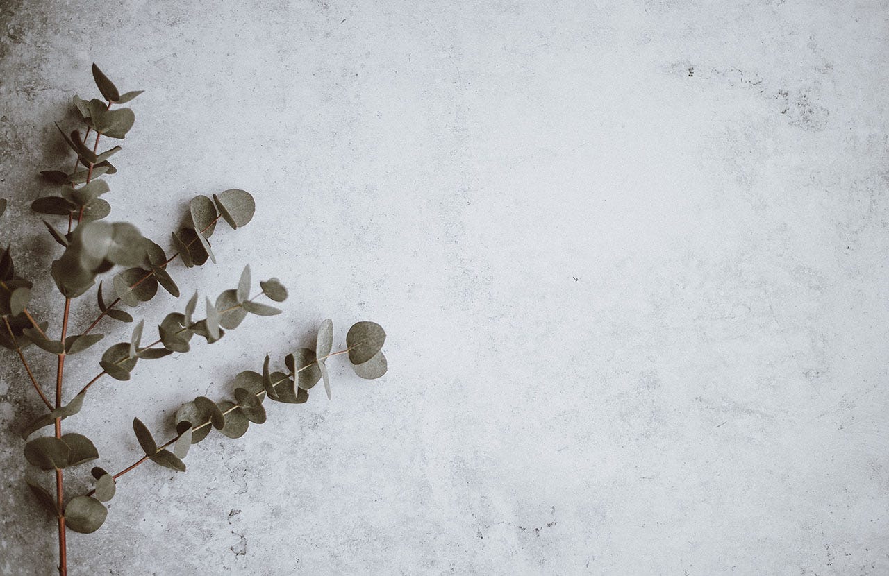 A eucalyptus branch with several shoots sits on a grey stone background. The branch is on the left hand side of the image, and the photograph has been taken from above.