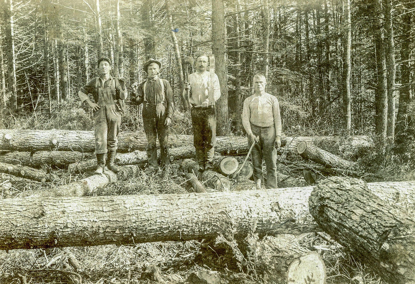 Loggers