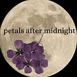 petals after midnight's avatar