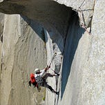 Surviving Healthcare