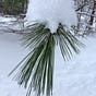 Michiganographer's avatar