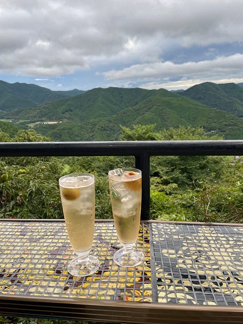 Japan's Kumano Kodo hike