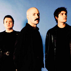 The Return Of White Reaper