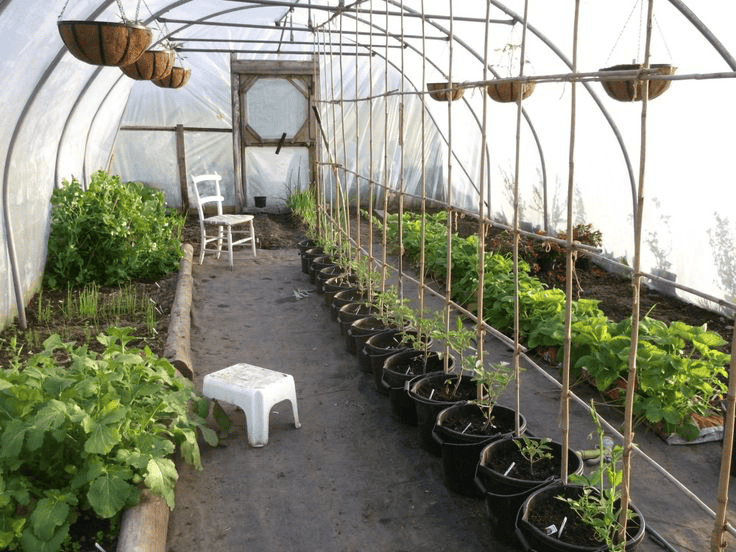 Interior of a green house tunnel